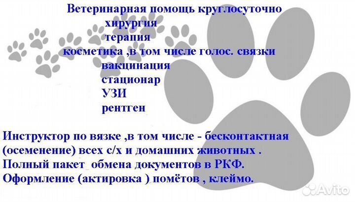 Ветеринарные услуги