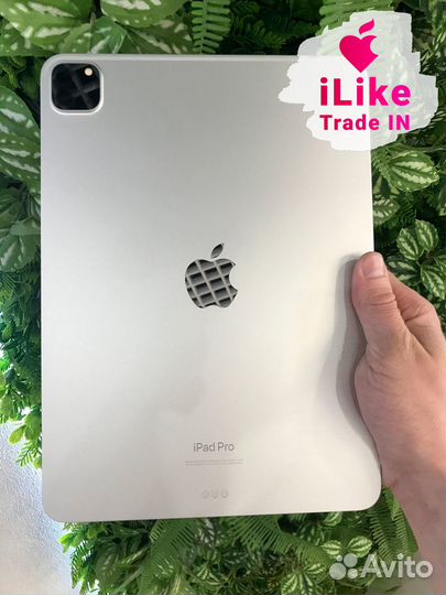 iPad Pro 11 256 Гб Wi-fi Серебристый (L4TM)