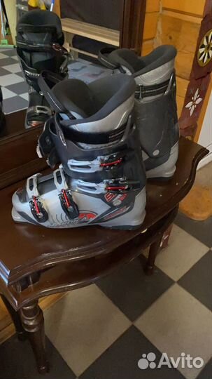 Горные лыжи fischer