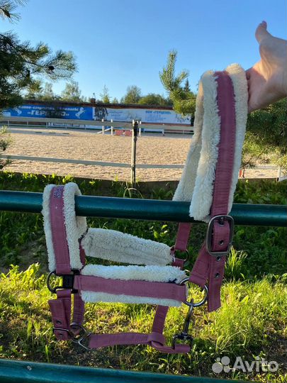 Уздечка для лошади