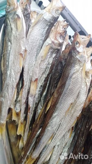 Рыба вяленая Корюшка 30+