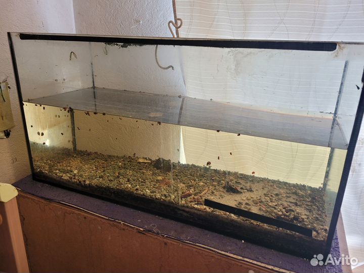 Отдам бесплатно 2 аквариума