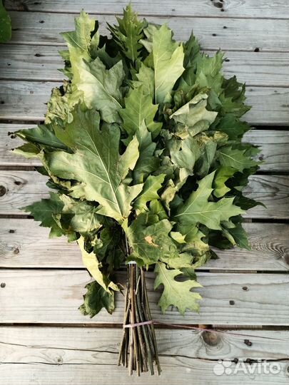 Веники для бани