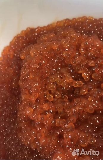 Икра горбуши Premium