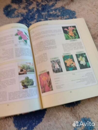 Энциклопедия комнатных растений,в подарок книга о