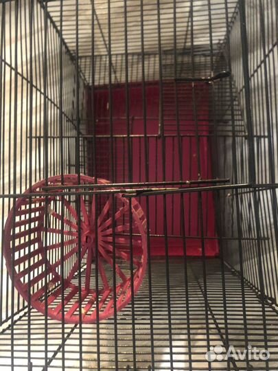 Клетка для грызунов большая