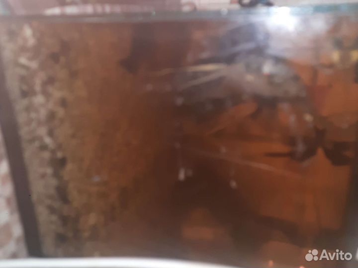 Аквариум с рыбками