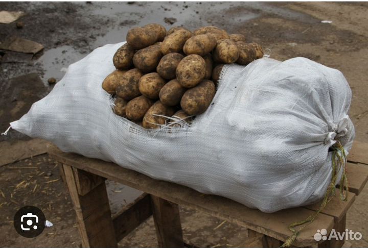 Продам картофель самовывоз