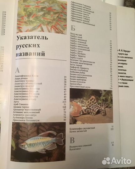 Энциклопедия аквариумных рыбок