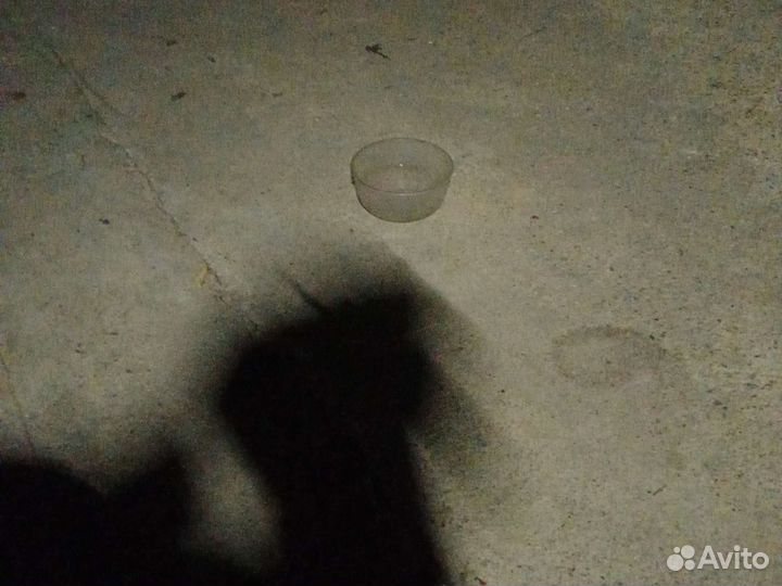 Чашка собаки