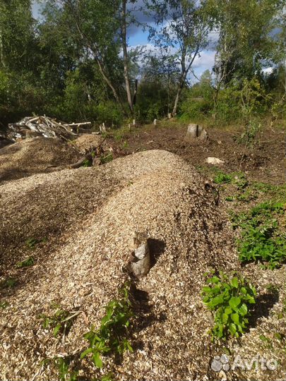 Мульча щепа