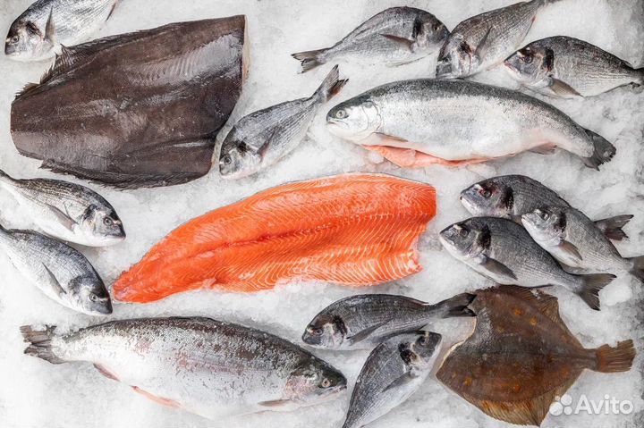 Лосось филе охлажденное