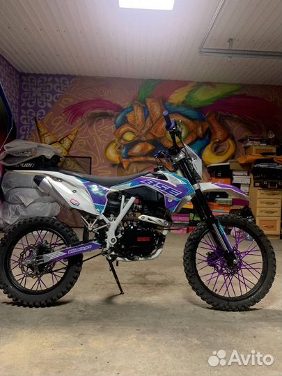 BSE Z1