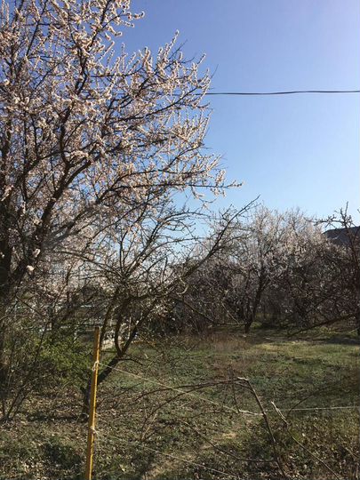 Участок 6,3 сот. (СНТ, ДНП)