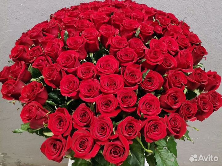 75 Роз Букеты из роз розы оптом