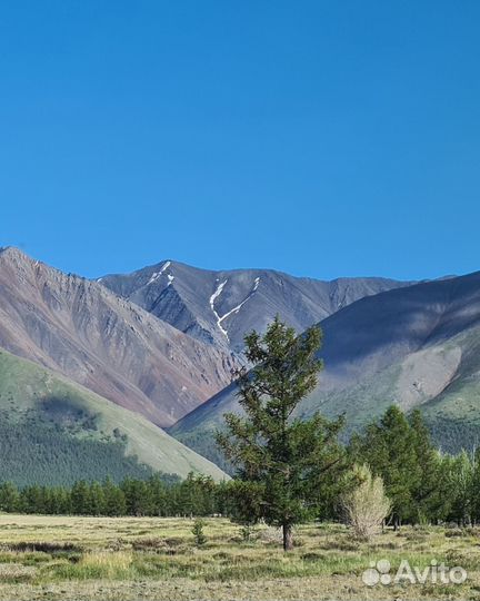 Другой Алтай