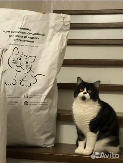 Корм для кошек стерилизованных Promenad