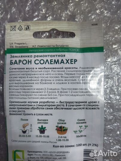 Ремонтантная земляника