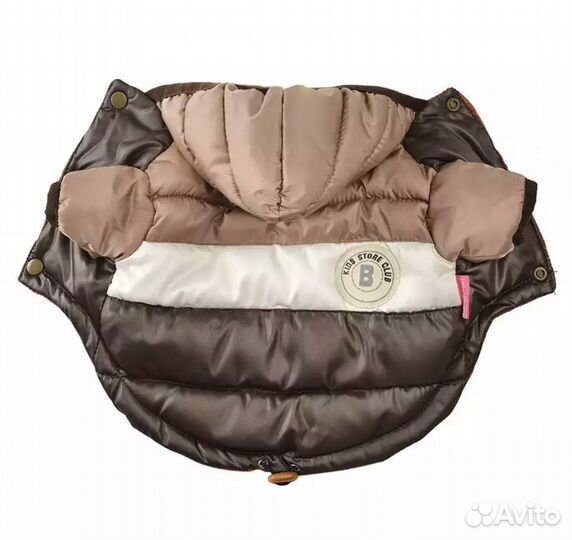 Одежда для собаки на зиму или осень