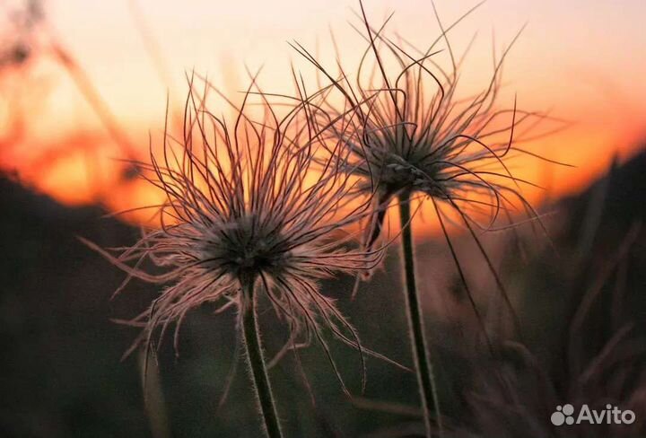 Зеркальный фотоаппарат canon 600d