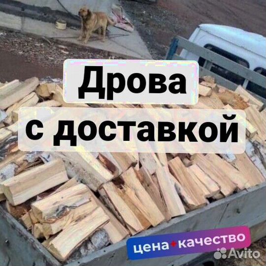 Дрова на дачу