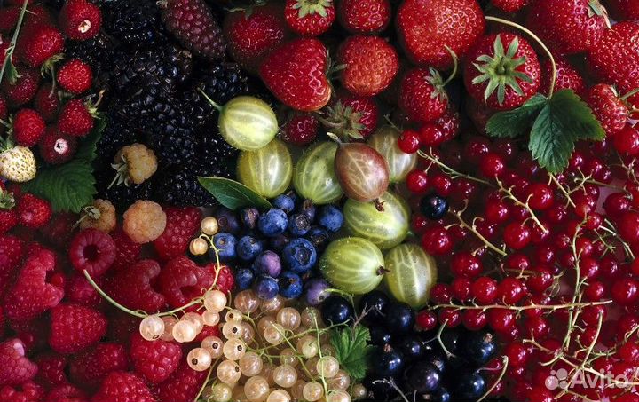 Желе, варенье без варки, сушёные яблоки, чеснок