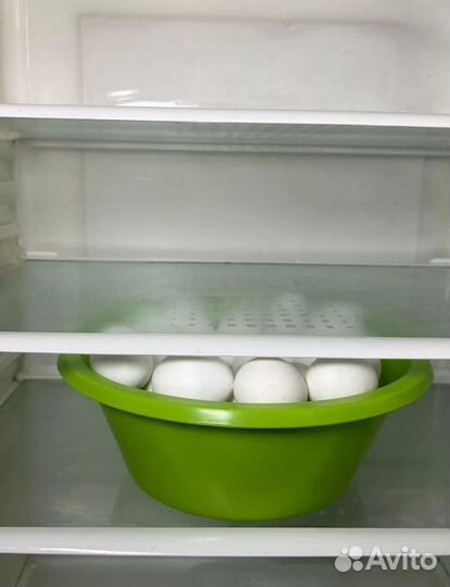 Тазик пластиковый 3л для кухни. Синие и зеленые