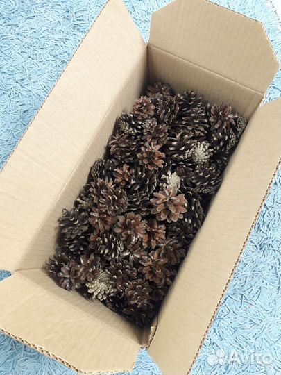 Шишки сосновые отборные 150 штук в коробке