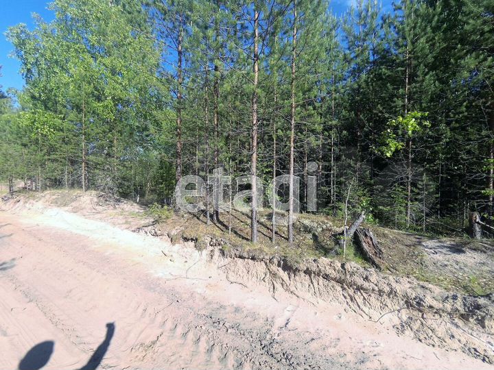 Участок 10 сот. (СНТ, ДНП)