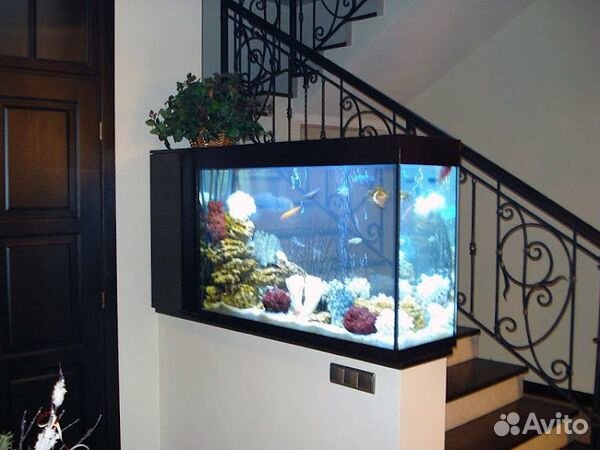 Обслуживание и дизайн аквариумов (профессионально)