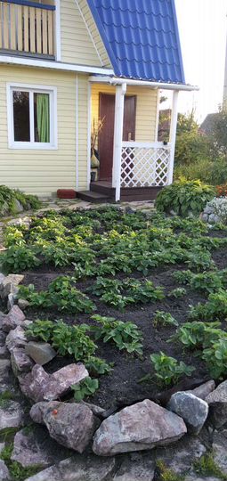 Дача 45 м² на участке 4,5 сот.