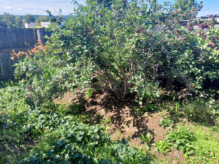 Участок 10 сот. (СНТ, ДНП)