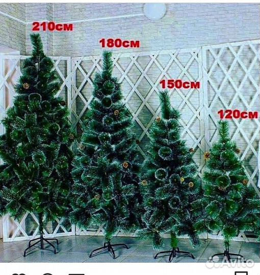 Ёлочки в наличии