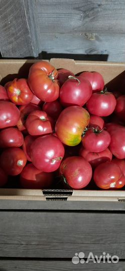 Огурцы,перец болгарский