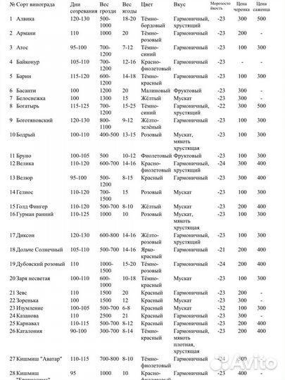 Саженцы винограда(вегетирующие)