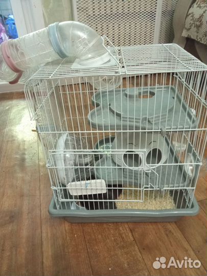 Хомяки с клеткой