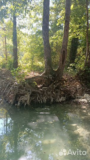 Горные прогулки в с. Прасковеевка