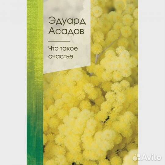 Что такое счастье. Асадов Э.А