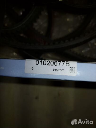 Сальник хвостовика, corteco