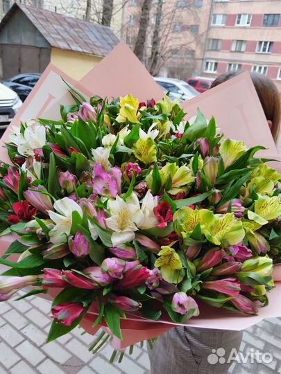 Букет из 51 альстромерии микс