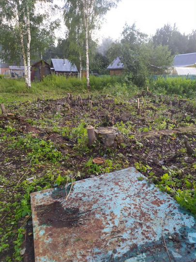 Участок 6 сот. (СНТ, ДНП)