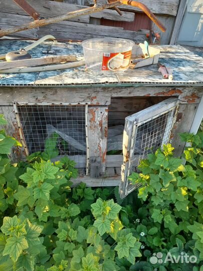 Клетка для кролика
