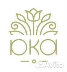 Гортензия в современной упаковке