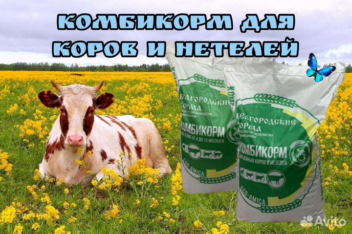 Белгородские комбикорма