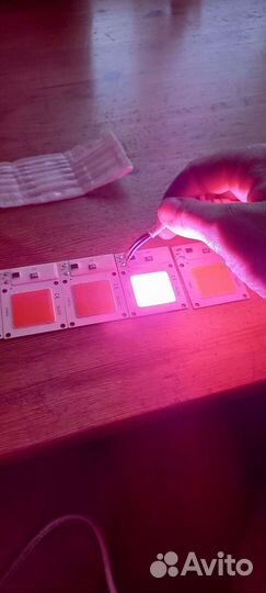 Фито диодная матрица