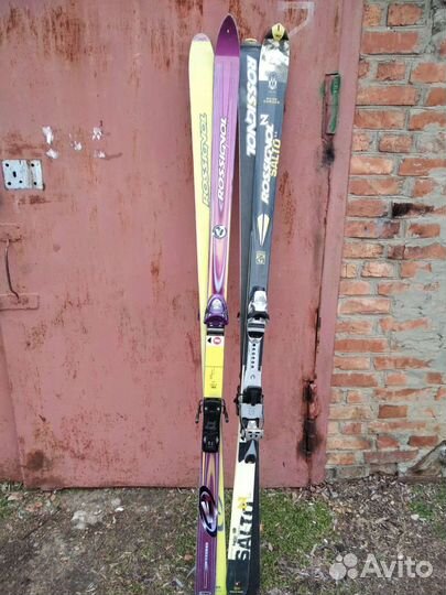 Горные лыжи