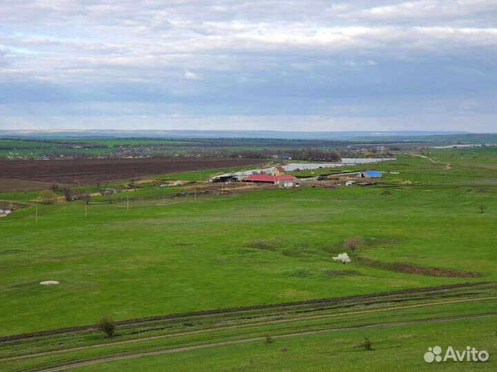 Продается фермерское хозяйство