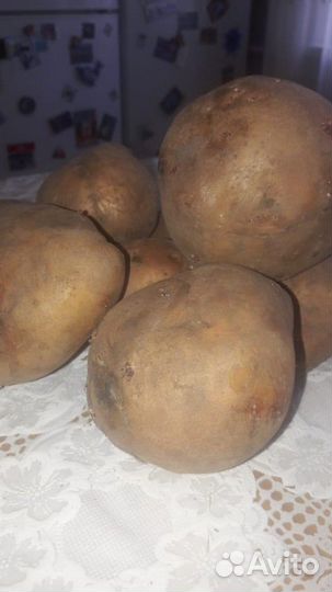 Картофель на еду деревенский