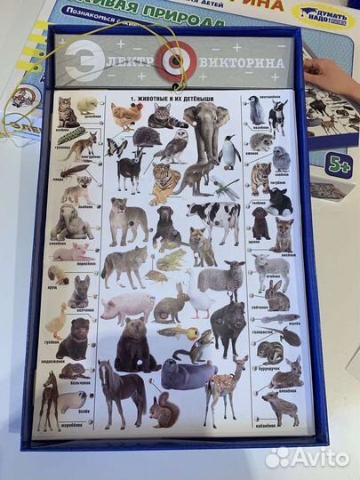 Электровикторина «Живая природа» 5+