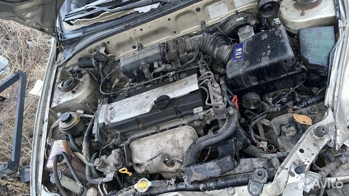 Авторазбор Hyundai Accent